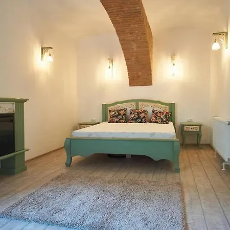 Vintage Apartament ,, Nicolux,, Centrul Vechi- Apartment Brasov