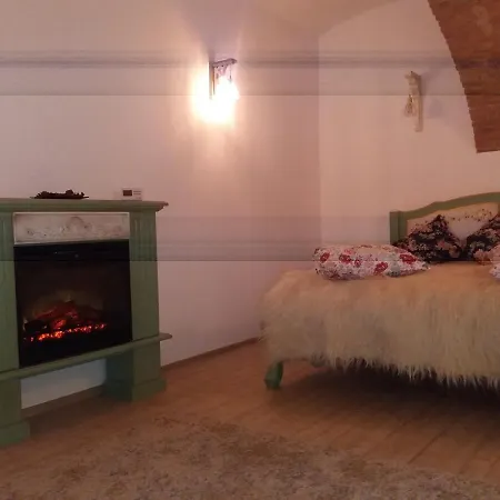 Vintage Apartament ,, Nicolux,, Centrul Vechi- Apartment Brasov